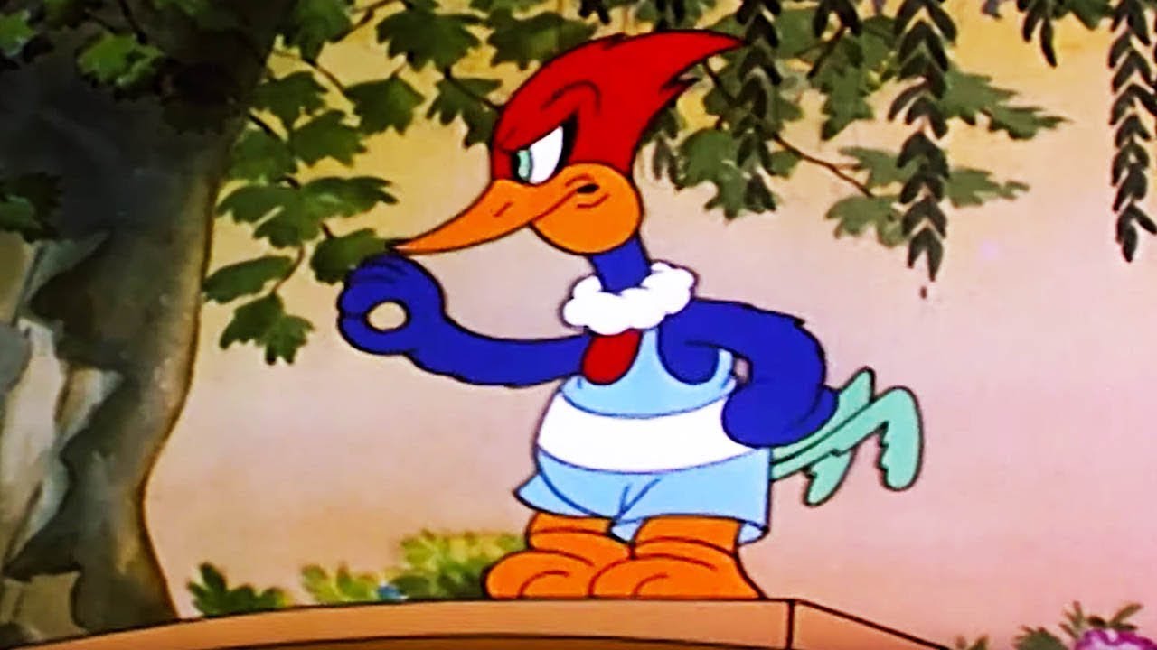 Woody Woodpecker Wacky Bye Baby Old Cartoon Woody Woodpecker Full Episodes Youtube Woody Woodpecker Wacky Bye Baby Old Cartoon Woody Woodpecker Full Episodes Youtube