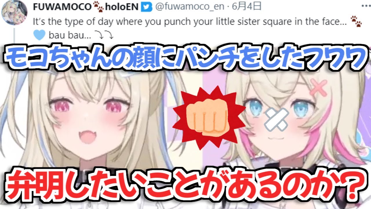 【ホロライブ切り抜き】この前モコちゃんの顔にパンチしちゃった件について弁明するフワワちゃん【フワモコ FUWAMOCO】