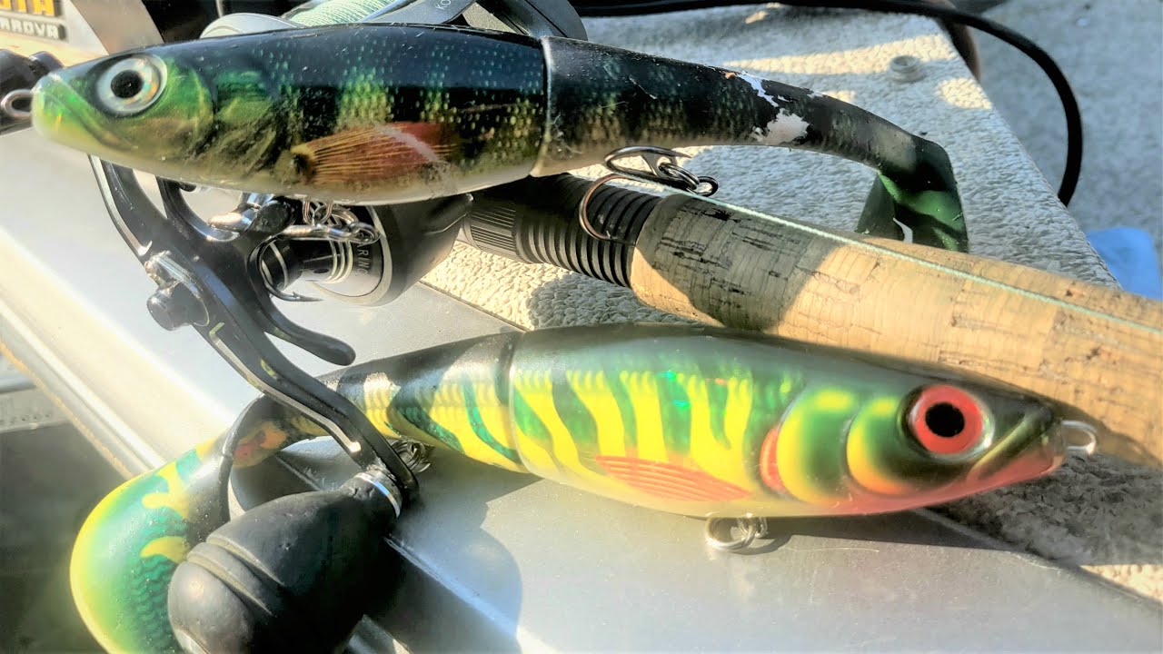 Muskies and Northern Pike love Rapala X-Raps! 