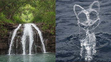 Guess the Monsters || Squint your eyes | Zoonomaly Horror Game | Smile Cat, Zookeeper, Angry Cat