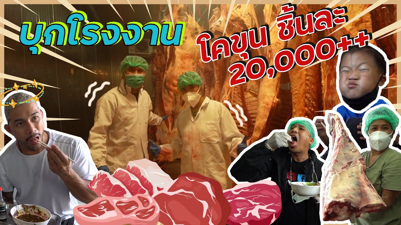 คิดถึงเนื้อวัว คิดถึงโพนยางคำ กลับถิ่นอีสานมาโรงเชือดวัว | น้องพี่หนี้เรา ☻ EP.53