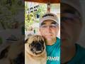 MC PUG and DJ DAS NEVES #music #pug #relax #djdasneves #livedj #djlive