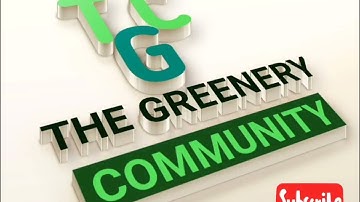 How to Trade on Algorand DEX (Tinyman) #crypto #Tinyman #algorand