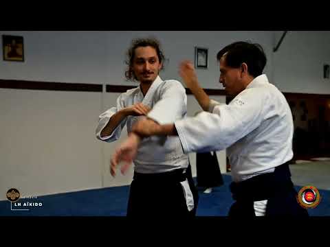 Aïkido : Jean Marc Chamot 7ème dan au Dojo VDB  (décembre 2023 2ème partie)