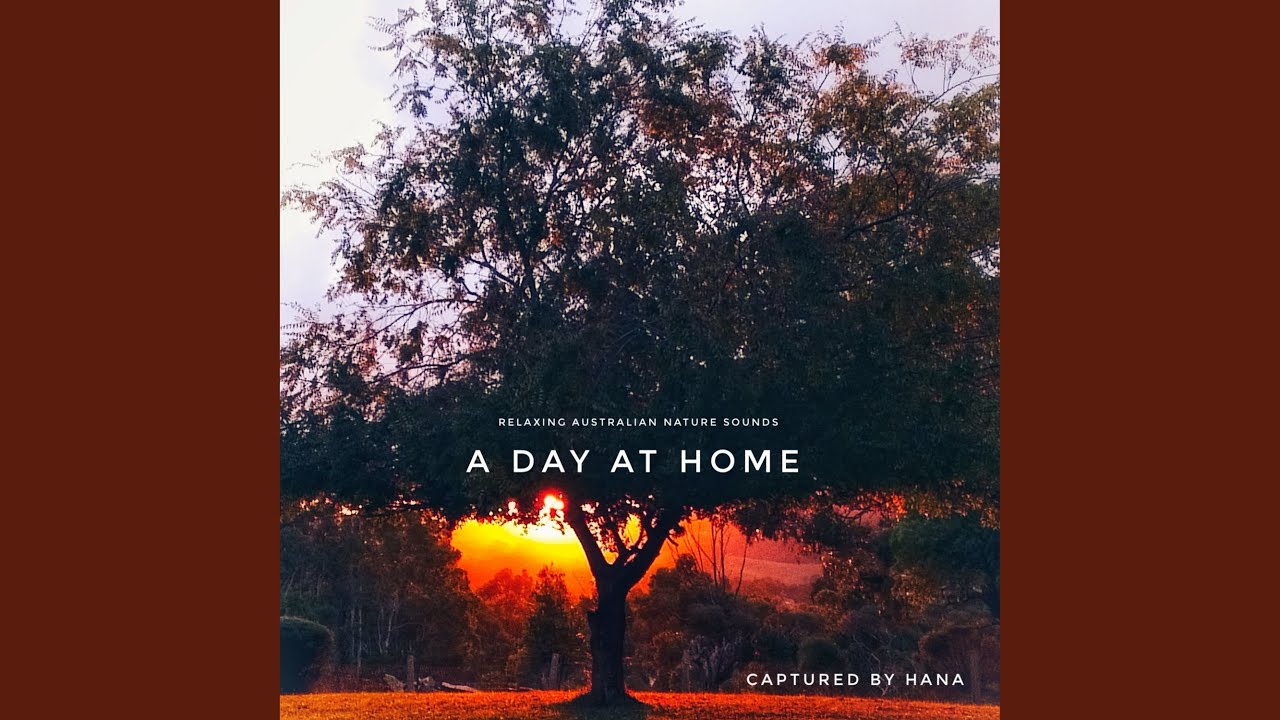 Guarda Night su YouTube Guarda Night su YouTube