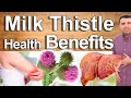 Resuscitate With Milk Thistle - Milk Thistle Health Benefits For Your Liver, Health, And Beauty