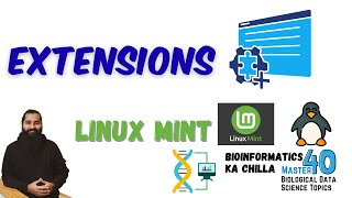 Linux Mint Extensions for Desktop Beautification and Professional Look