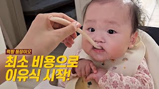 이유식 시작! 최소 비용으로 준비하기, 육아 브이로그 vlog