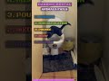 Ultimate Animal Fail Compilation