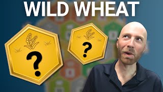 Catan Pro Plays An Impossible Wheat Game In Ranked