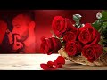 قيزكا دلال جخواس رندي أجمل اغنيه كردية رومانسيه حالات واتس اب اغنيه كردية حب و للعشاق قيزكا دلال جخواس رندي أجمل اغنيه كردية رومانسيه حالات واتس اب اغنيه كردية حب و للعشاق