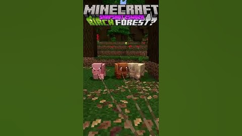 Minecraft Snapshot 25w02a -Falling Leaves, New Pigs, Easier Lodestones, Birch Forest?-  #gearsaw