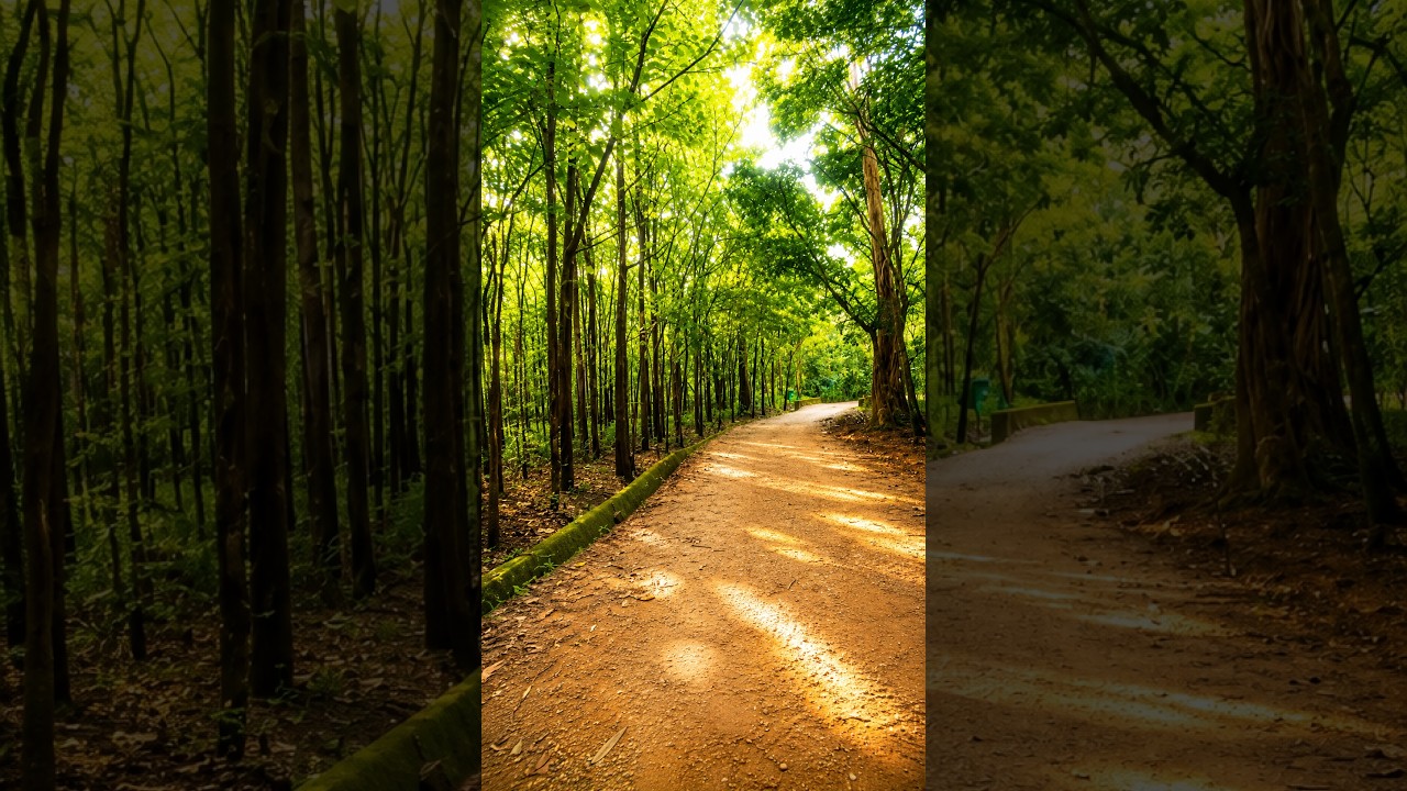 MFH-04: Solo rider walks into a hidden old forest trail! 🧭🌲 🤯
