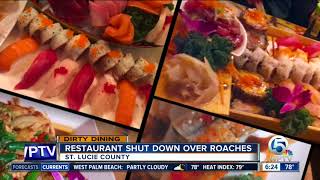 Dirty Dining: Roach activity temporarily shuts down 2 restaurants