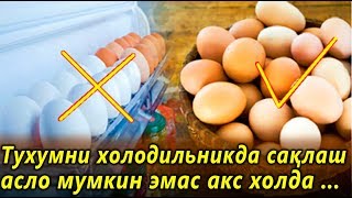 Диккат Хамма Курсин Тухумни Музлаткичда Саклашнинг Зарари