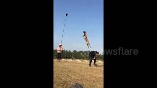German shepherd in China trained to jump 10ft in the air by Newsflare Viral 4,737 views 2 years ago 34 seconds