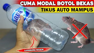 Ternyata cuma begini, rumah SELAMANYA aman dari TIKUS !!!