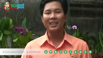 🔴 MAP PERMETHRIN 50EC | Thuốc phun diệt trừ Muỗi & Côn trùng hiệu quả nhất của Hockley Anh Quốc