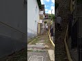 trepte
