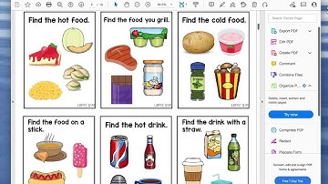 Product Preview -  VB-MAPP Task Cards Feature Function Class Level 3