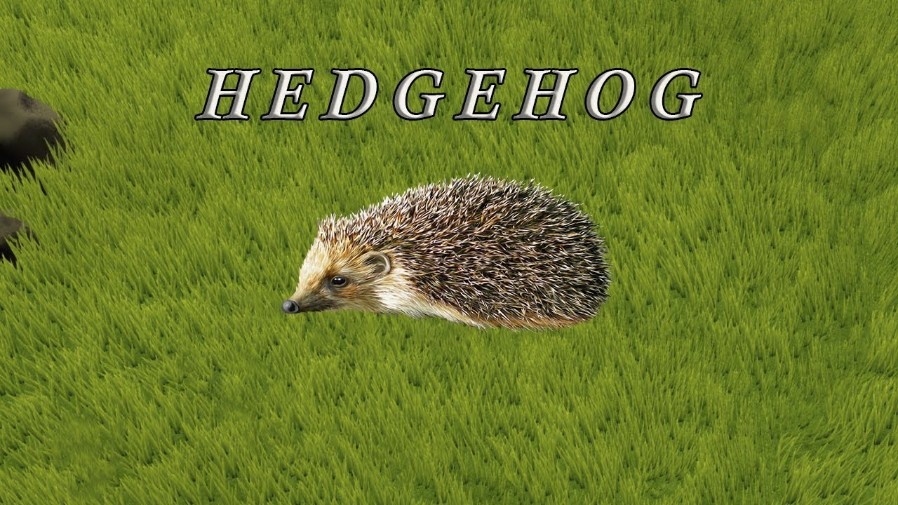 Smooth/Chill Trap Beat ''HEDGEHOG'' | Smooth/Chill Trap Instrumental (FREE)