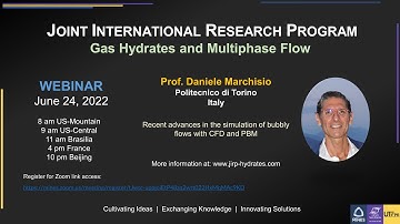 Prof. Daniele Marchisio - June 24, 2022