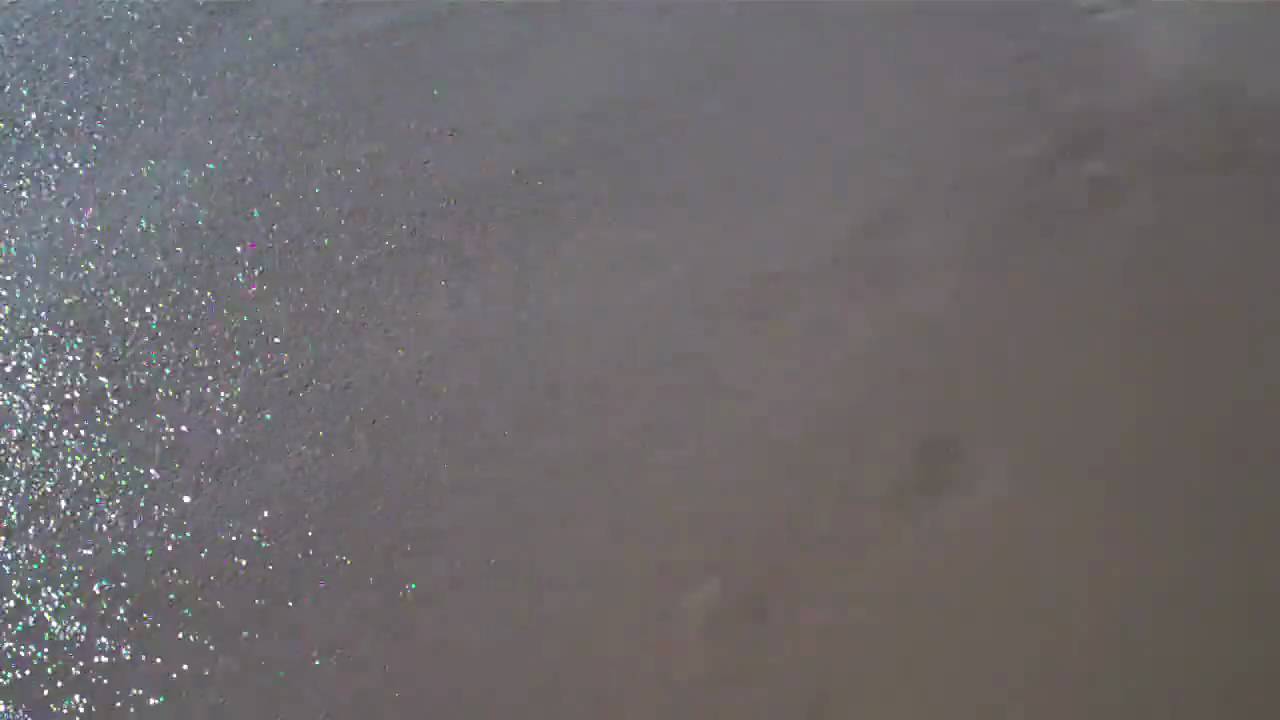 sam sommer hawaii 2010