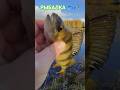 РЫБАЛКА на ПОПЛАВОЧНУЮ удочку🏝 природа🌿🍃 отдых 🏠лес🍀 река 🌊🏖🌊🏖