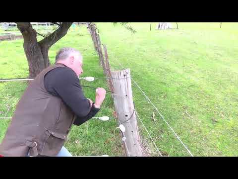 O'Briens Single Wire Strip Grazing Fence