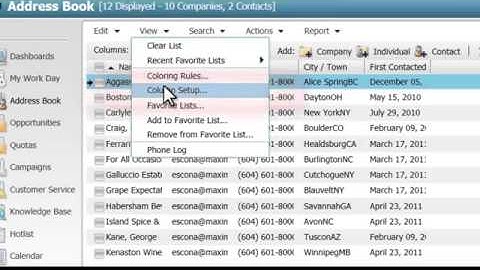 How to Create and Modify Column Setups in Maximizer CRM