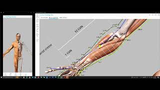 Preview of Visual Acupuncture 3D screenshot 3