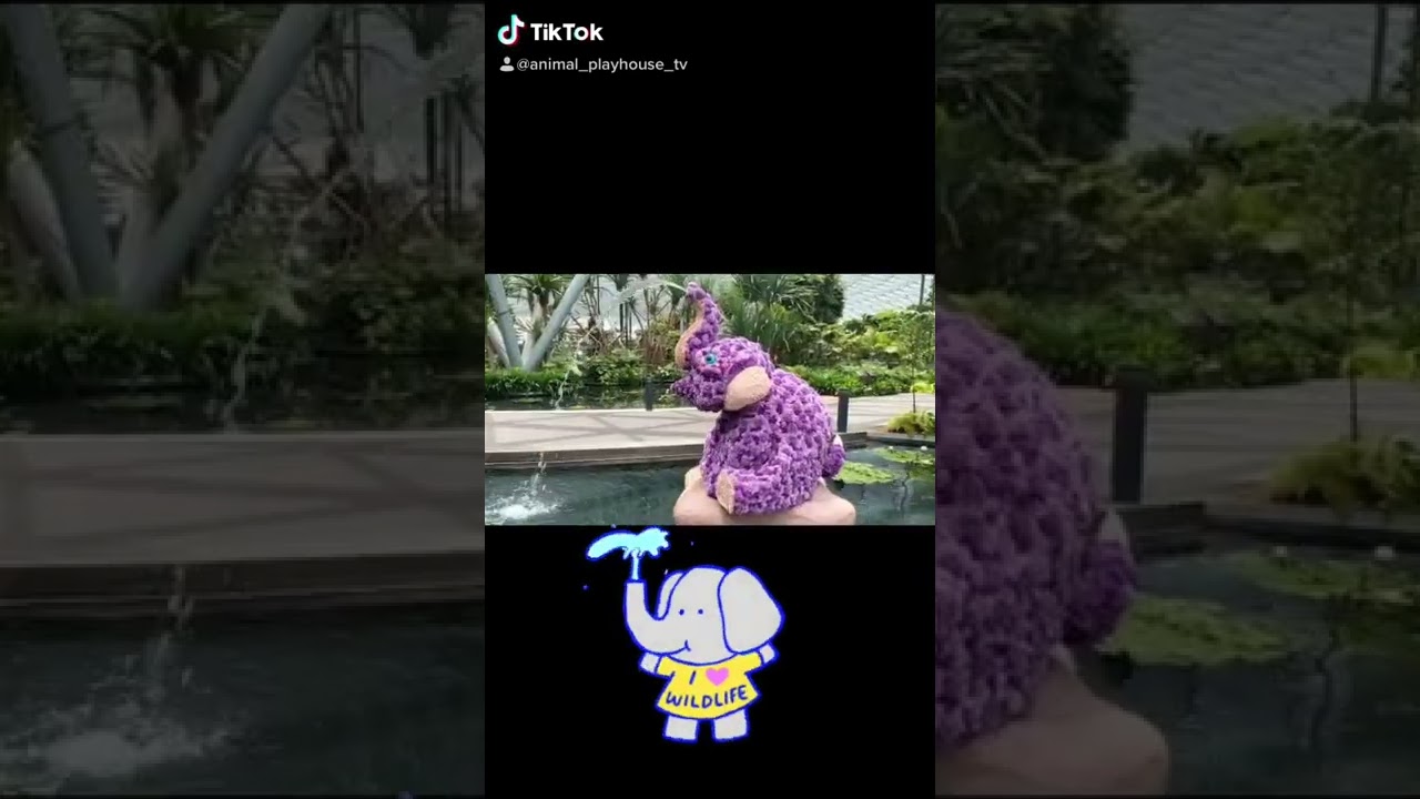 Purple elephant made with flowers - splashing water