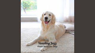 Playful Paws Prelude