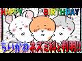 【ちいかわ】ちいかわハチワレ誕生日回!遂に2人のルーツが判明する!【最新話】