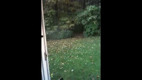 Proto SLG 09 shooting video