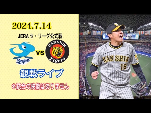 JERAセ・リーグ阪神VS中日 グリーンシート甲子園ペアチケット 面白く