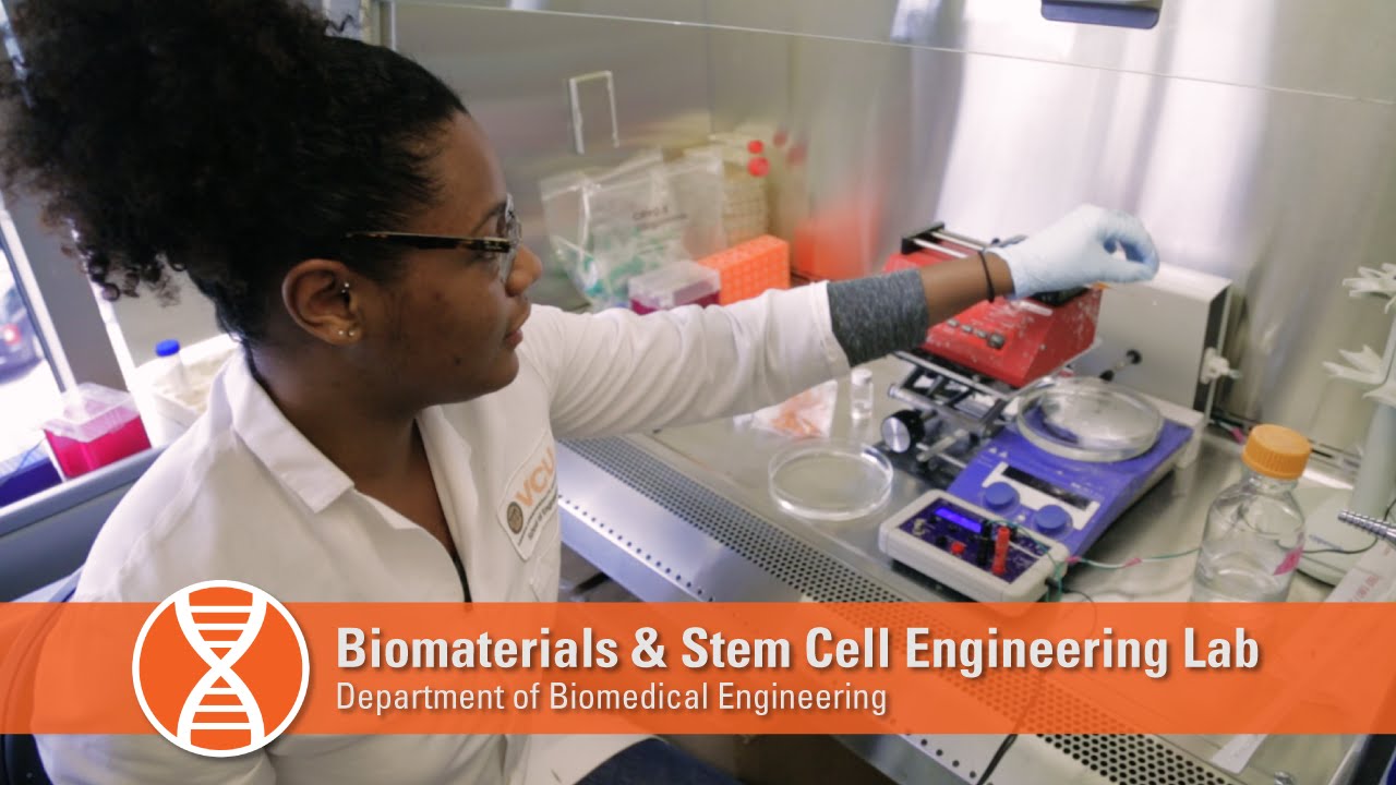 Biomaterials & Stem Cell Engineering Lab YouTube