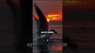 #siir #sevgi #şair #şiir