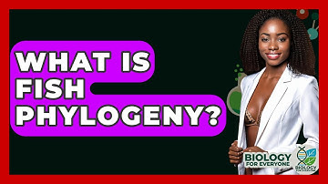 What Is Fish Phylogeny? - Biology For Everyone