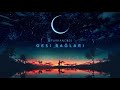 Gesi Bağları