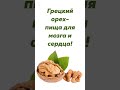 Грецкий орех-пища для мозга и сердца!