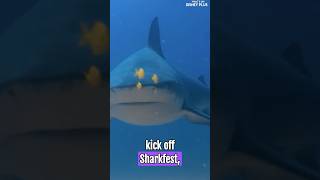 Whats New On Disney Plus Today | Shark Fest