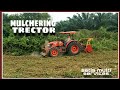 trector mulcher di malaysia