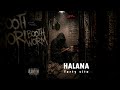 FORTY SITA  -  HALANA