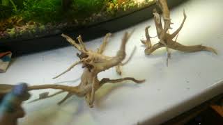 Коряги с Алиэкспресс))) смотрите сами, что пришло))) Коряги с Алиэкспресс))) смотрите сами, что пришло)))