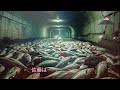 警察がマクドナルドの地下で発見した謎の隠し扉…！開けた瞬間、彼らの顔が青ざめた理由とは！？衝撃の真相