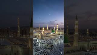 #love #islamic #islamic #reaction #duet #islamicstatus