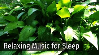 Relaxing Music for Stress Relief ☘️ Meditation Music, Sleep Music, Study Music