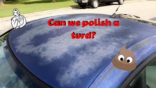 Can you polish a turd?  ft. Shine Armor