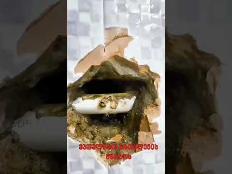 წყლის ჟონვის დიაგნოსტიკა — სამუშაო პროცესი